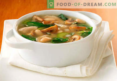 Soupe au bouillon de champignons - les meilleures recettes. Comment bien cuire la soupe dans un bouillon de champignons.