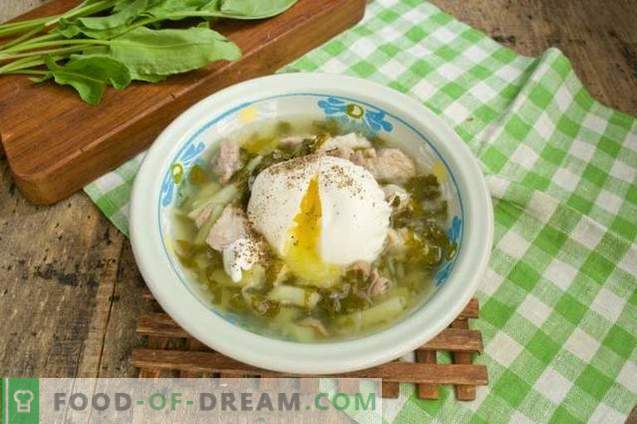 Zuppa di acetosa con carne e uovo