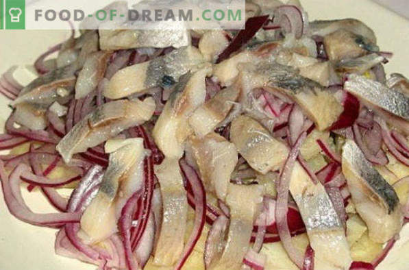 Comment saler le hareng à la maison est savoureux et rapide, en marinade et en salaison sèche