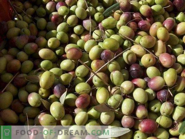 Olive o olive - qual è la differenza e il beneficio?