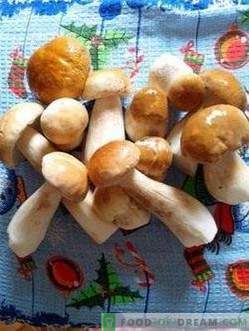 Funghi bianchi marinati con cannella