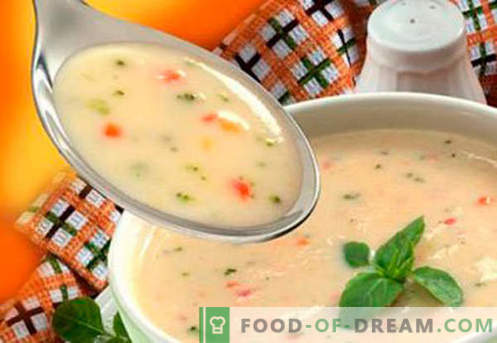 Zuppe per bambini - ricette collaudate. Come cucinare correttamente e gustose zuppe per bambini.