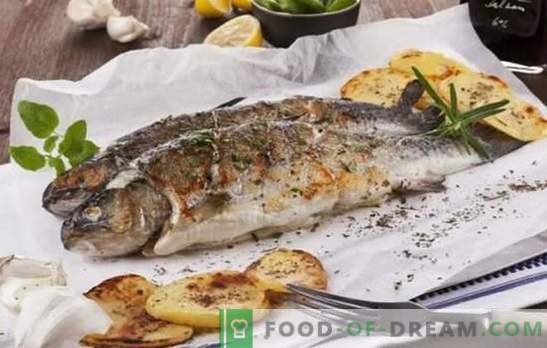 Cattura i pesci, tutto è delizioso sulla griglia! Ricette di pesce alla griglia e di mare: aiuto in cucina per i pescatori e gli amanti dei gustosi pesci