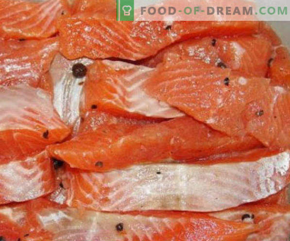 Salatura del pesce rosso in casa ricette e raccomandazioni