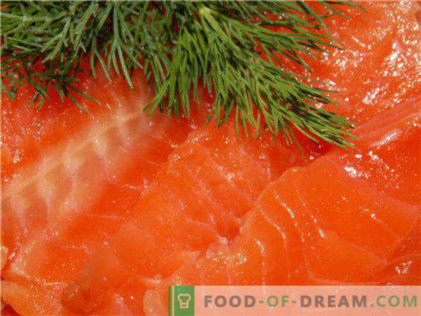 Salatura del pesce rosso in casa ricette e raccomandazioni