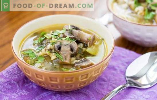 La zuppa di funghi con orzo perlato è un piatto sostanzioso e facile da cucinare. Ricette originali di zuppa di funghi con orzo perlato