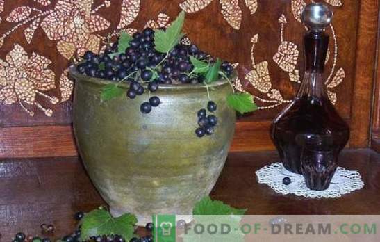 Come si fa il vino al ribes nero? Cinque ricette per i semplici vini di ribes nero fatti in casa: giovane, dolce, liquore