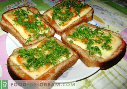 I panini al formaggio sono le migliori ricette. Come cucinare velocemente e gustosi panini con formaggio.