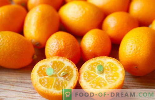 Kumquat - proprietà utili e uso in cucina. Ricette con kumquat.