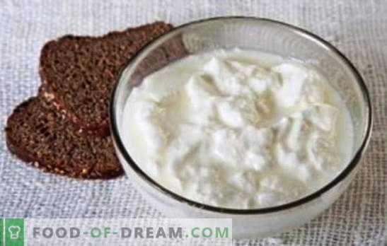 Come fare lo yogurt fatto in casa dal latte - prodotti caseari per tutti i gusti. Segreti: come fare lo yogurt fatto in casa dal latte in tre modi