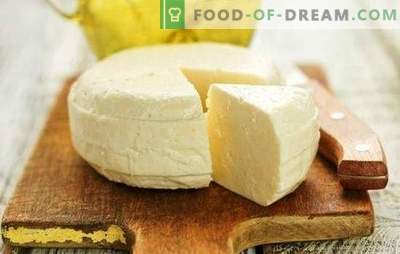 Suluguni fait maison - une recette du cœur pour les amateurs de fabrication du fromage. Comment faire du fromage suluguni à la maison?