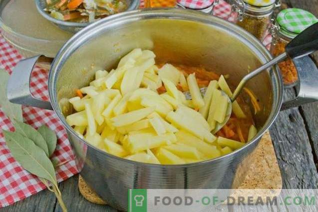 Zuppa di pomodoro con patate