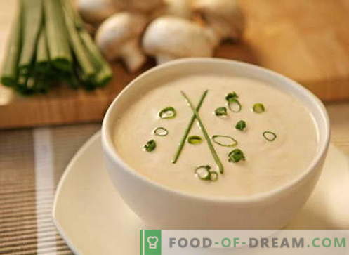 Zuppa di crema - le migliori ricette. Come cucinare correttamente e cucinare la zuppa.