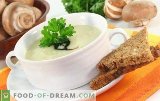 La zuppa di funghi con formaggio fuso è un piatto immeritatamente dimenticato! Ricette migliori zuppe di funghi con formaggio fuso