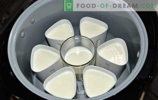 Yogurt in una pentola del vaso di terracotta in barattoli è una prelibatezza salutare e gustosa. Varietà di yogurt dal multicooker in barattoli