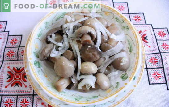 Funghi champignon marinati a casa - funghi deliziosi! Come decantare i funghi prataioli in casa: veloce, gustoso