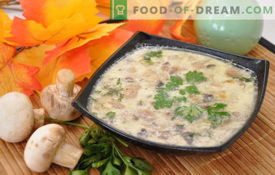 Estremamente semplice ed eccezionalmente gustoso - zuppa di funghi con patate. Selezione di zuppe di champignon con patate