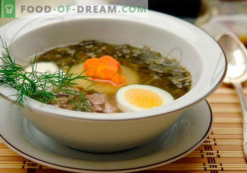 Zuppa di acetosa - ricette collaudate. Come cucinare correttamente e gustoso zuppa di acetosa.