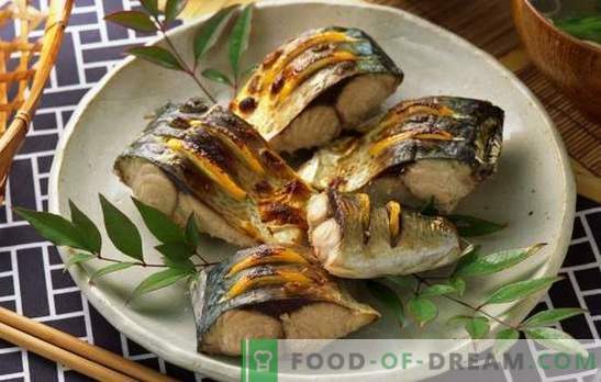 Piatti di pesce in lenta: festosi e tutti i giorni. Ricette di piatti di pesce in lenta: zuppe, cotolette, insalate, polpette di carne, arrosto