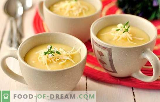 Zuppa di patate: spessa o sottile? Una selezione di ricette di zuppa di purea di patate: con fagioli, funghi, zucchine, gamberetti