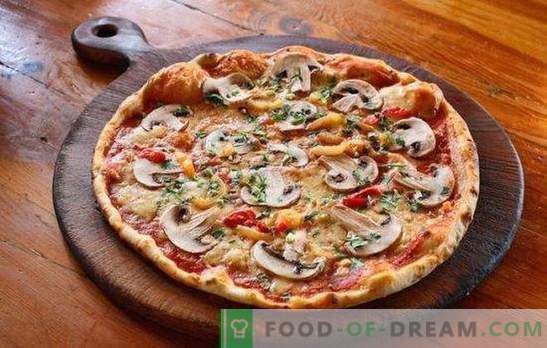 Pizza con carne macinata e funghi: ricette tradizionali e originali. Pizza fatta in casa con carne macinata e funghi - le migliori opzioni