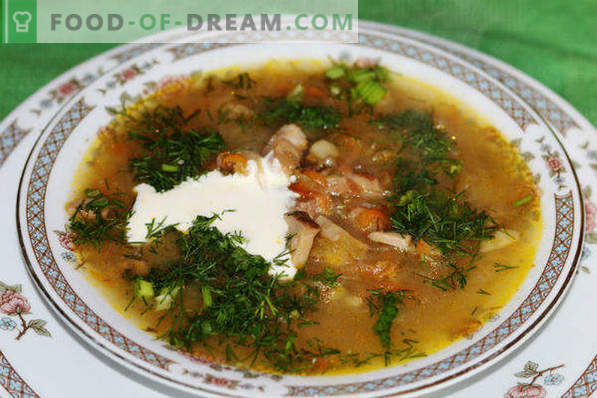 Come cucinare la zuppa di crauti con carne di manzo, maiale, pollo