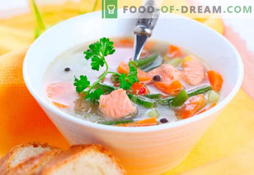 Zuppe di trota - ricette collaudate. Come cucinare correttamente e cucinare la zuppa di trote.