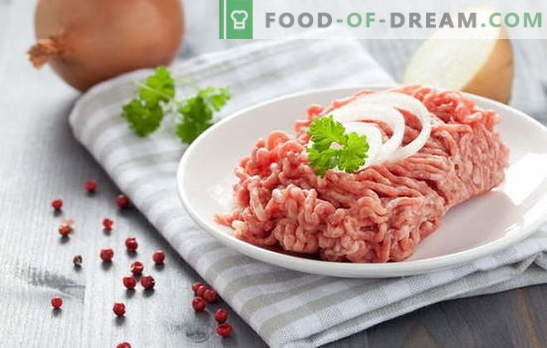 Piatti di carne macinata - la ricetta per il prodotto semilavorato corretto. Piatti di carne macinata fatti in casa: deliziose ricette di cibi