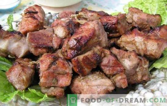 Marinata per kebab di maiale con kefir - tenera! Raccolta di ricette marinate per la carne sul fuoco: marinata per maiale con kefir