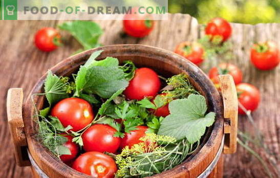 Verde e rosso, il gusto è meraviglioso, pomodori salati in una botte per l'inverno. Diversi modi di raccogliere i pomodori in un barile per l'inverno