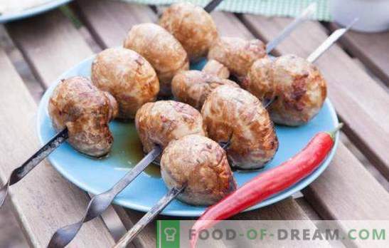 Champignon alla griglia - lo snack originale! Come cucinare deliziosi champignon sulla griglia: ricette e sottigliezze
