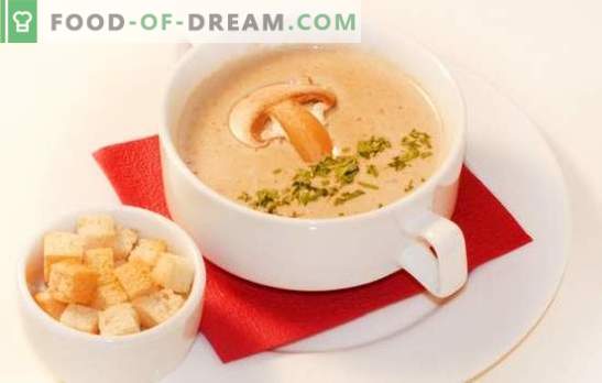 La zuppa di funghi è una versione delicata del tuo piatto preferito. Le migliori ricette di zuppa di crema di funghi: con crema, con formaggio, riso, cognac, gamberetti