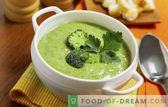 Zuppa di crema di broccoli: ricette per dieta e nutrizione di base. Varietà di ricette per la crema - zuppa da broccoli semplici o complessi