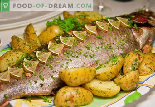 Salmone al forno al forno - le migliori ricette. Come cucinare correttamente e gustoso salmone, cotto in forno.