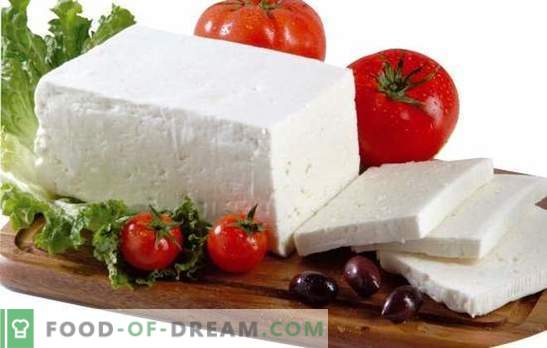 Come cucinare il formaggio: tecnologia semplice ed economica per i produttori di formaggio fatti in casa. Come cucinare il formaggio fatto in casa: ricette, collaudate