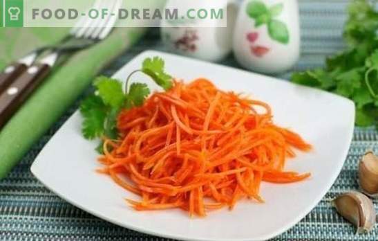Carote in salamoia - per tutte le occasioni: appetitoso e brillante! Ricette per carote in salamoia: con cavoli, barbabietole, melanzane