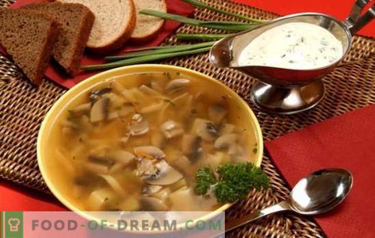 Zuppa di funghi in un fornello lento - per coloro che apprezzano il cibo delizioso. Cucinare zuppe di funghi veloci, nutrienti e gustose in una pentola a cottura lenta senza problemi