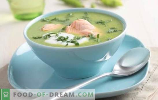 Zuppa di pesce di chum - utile, semplice, gustosa. Le migliori ricette di zuppa di keta (dalla testa, coda, pinne) per tutti i gusti: con cereali e mais