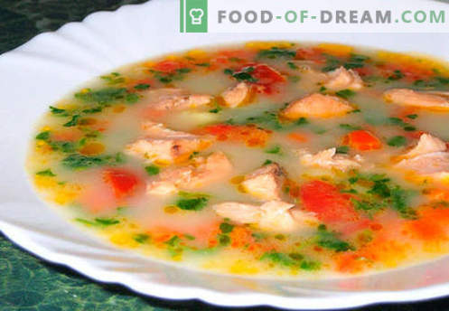 Zuppa di salmone - le migliori ricette. Come cucinare correttamente e gustoso zuppa di salmone.