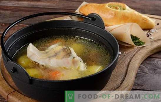 La zuppa di lucioperca è tradizionale e originale: con patate, miglio, funghi. Come cucinare l'orecchio dal lucioperca con erbe e vodka