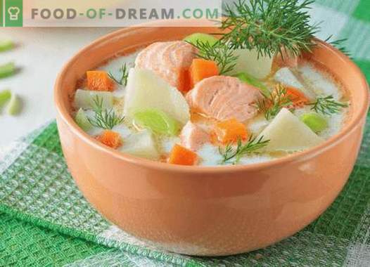 Zuppa di salmone - le migliori ricette. Come cucinare correttamente e gustoso zuppa di salmone.