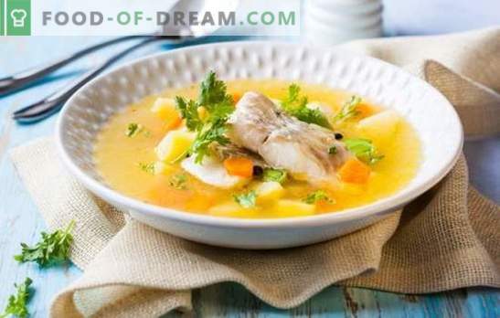 Orecchio di sterlet - sapore e aroma incomparabili di zuppa di pesce. Come cucinare una gustosa zuppa di pesce da sterlet