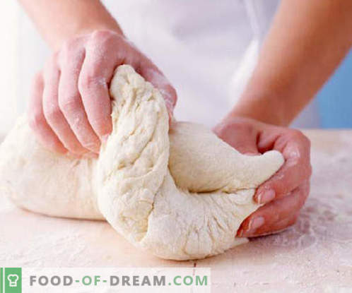 Pasta di ricotta - le migliori ricette. Come cucinare correttamente e gustoso l'impasto dalla cagliata.
