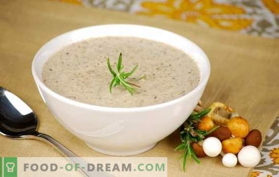 Zuppa di crema di funghi - ricette popolari. Come preparare la zuppa di funghi in un fornello lento, con panna o con formaggio