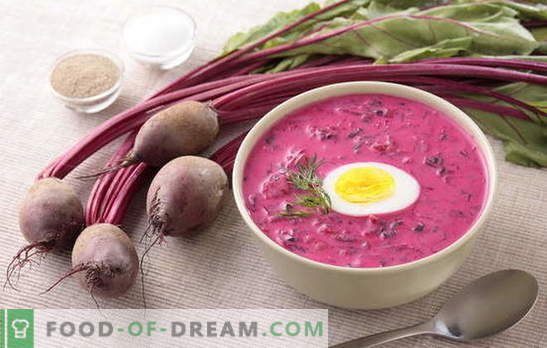 Zuppa di barbabietole - un primo piatto brillante dal sapore ricco! Provate ricette tradizionali e dell'autore per la barbabietola calda e fredda