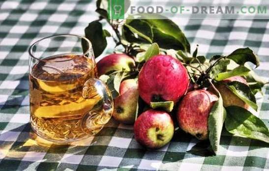 Produrre il sidro di mele fatto in casa - prodotto naturale! Come preparare le materie prime per il sidro di mele a casa