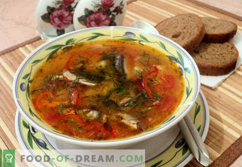 Zuppe di pomodoro - ricette collaudate. Come cucinare correttamente e deliziosamente la zuppa di pomodoro.