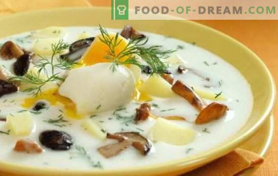 Zuppa di funghi - è semplice e utile! Le ricette più facili per la zuppa a base di funghi: con carne, cereali, pentole, sottaceti e miscuglio