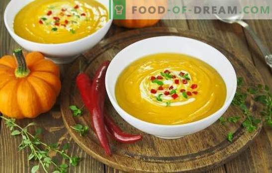 Le ricette di purea di zuppe sono veloci e saporite - tenera e nutriente. Come cucinare la zuppa alla crema: ricette per primi piatti veloci e gustosi