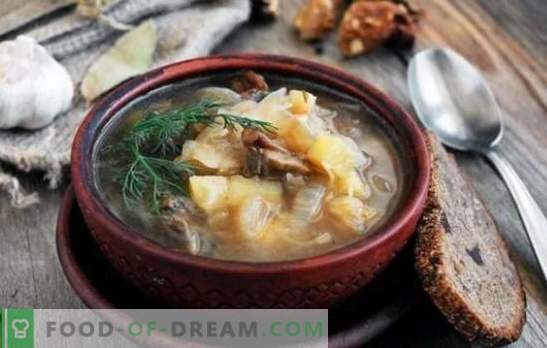 Zuppa di Quaresima con funghi - antiche ricette della moderna cucina russa. Minestra semplice, nutriente e magra con funghi, acetosa, ortica